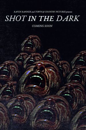 Shot in the Dark's poster