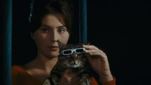 When the Cat Comes's poster