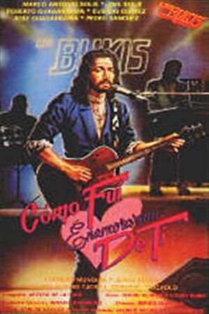 Como fui a enamorarme de ti's poster