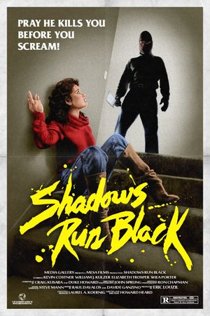 Shadows Run Black's poster