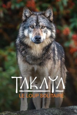 Takaya, Lone Wolf's poster