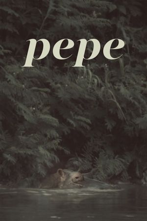 Pepe's poster image