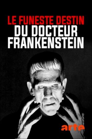 The Strange Life of Dr. Frankenstein's poster
