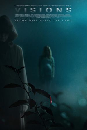 Visions's poster
