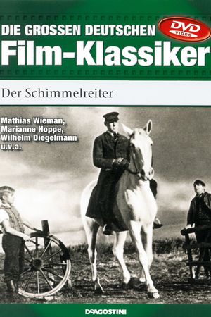 Der Schimmelreiter's poster