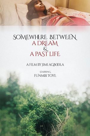 Somewhere Between a Dream and a Past Life's poster