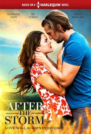 After the Storm's poster