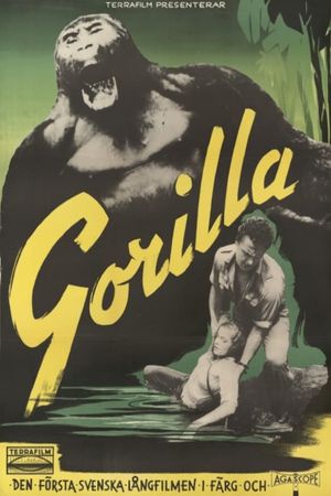 Gorilla Safari's poster