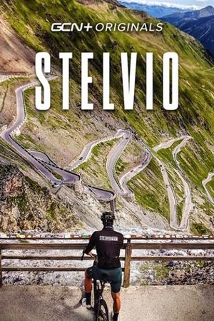 Stelvio's poster