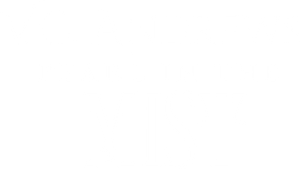 V.C. Andrews' Pearl in the Mist's poster