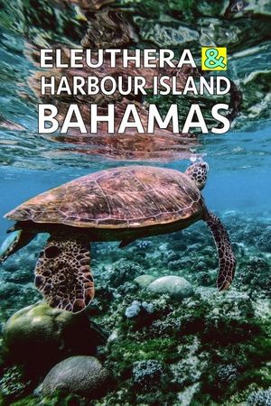 Eleuthera & Harbour Island: Bahamas's poster