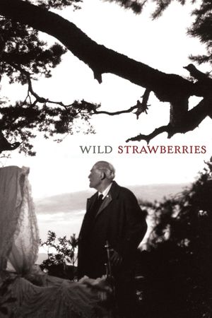 Wild Strawberries's poster