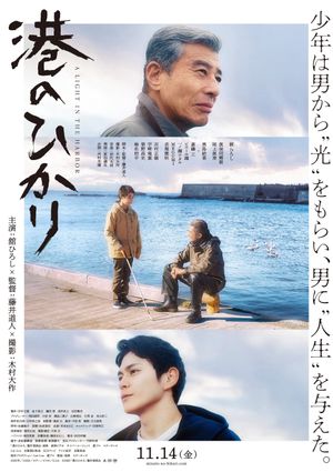 A Light in the Harbor's poster