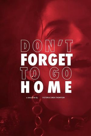 Don't Forget to Go Home's poster image