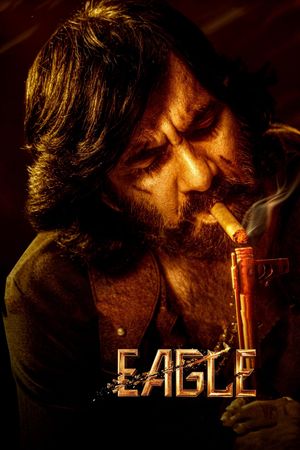 Eagle's poster
