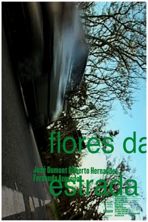 Flores da Estrada's poster image