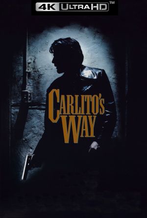 Carlito's Way's poster