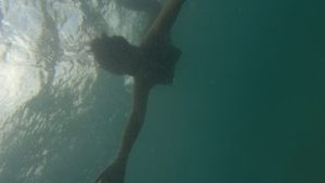 Todavia Sinto's poster