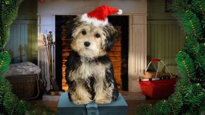 Santa Buddies's poster