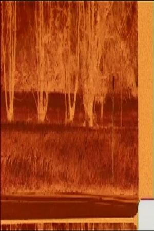 Fields Of Grain's poster