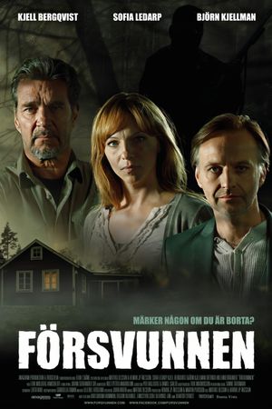 Försvunnen's poster