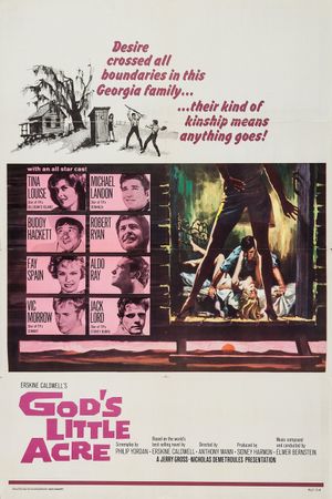 God's Little Acre's poster