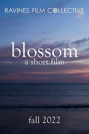 Blossom's poster image