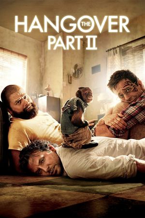 The Hangover Part II's poster