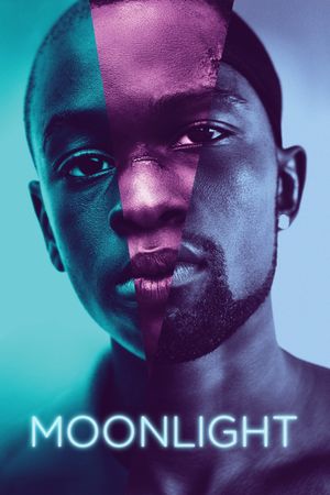 Moonlight's poster