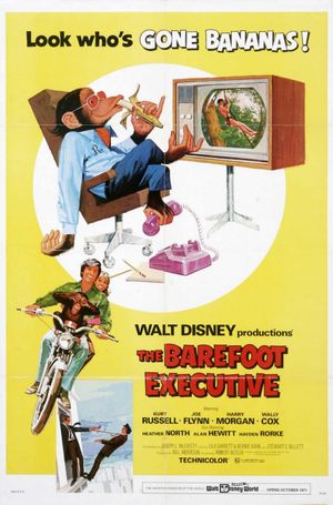 The Barefoot Executive's poster