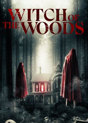 Alone in the Woods's poster