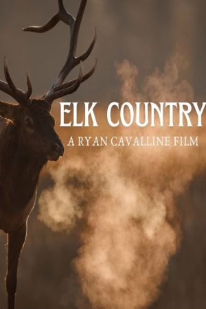 Elk Country's poster