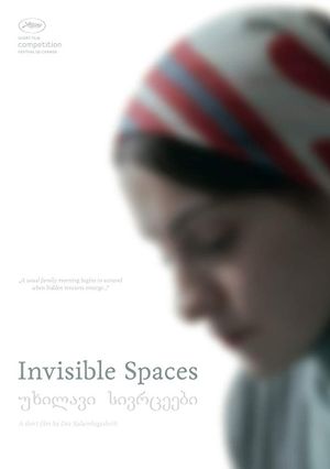 Invisible Spaces's poster