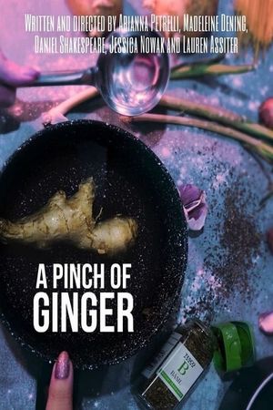 A Pinch of Ginger's poster