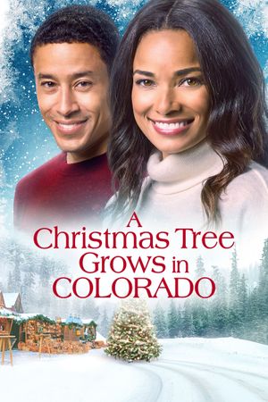 A Christmas Tree Grows in Colorado's poster