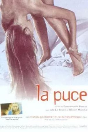 La puce's poster