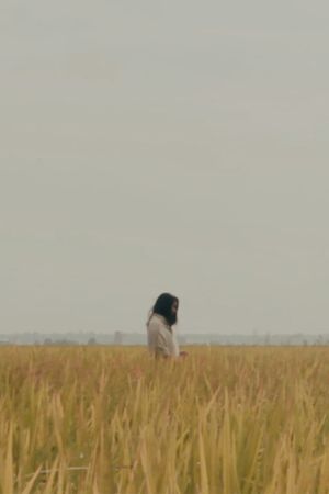 The Lost Piece's poster