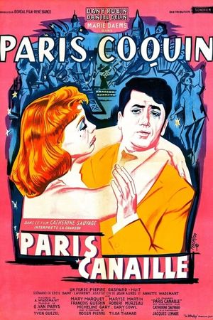 Maid in Paris's poster