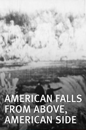 American Falls from Above, American Side's poster