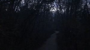 The Creature of Memorial Park's poster