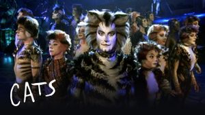 Cats's poster
