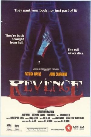 Revenge's poster