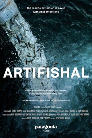 Artifishal's poster