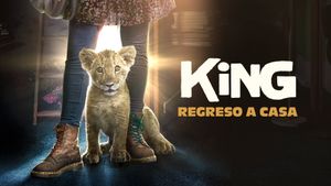 King's poster