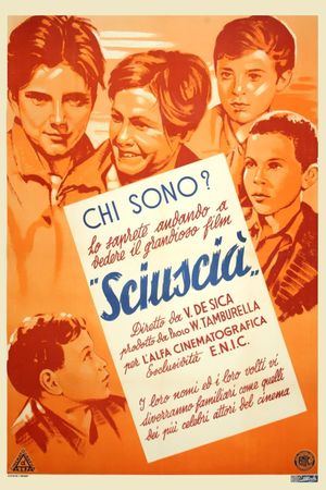 Shoeshine's poster
