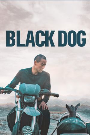 Black Dog's poster