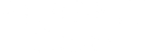 Flight 666's poster
