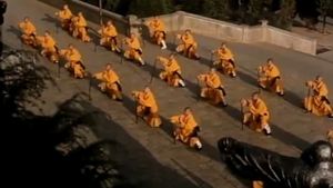 Shaolin Kung Fu's poster