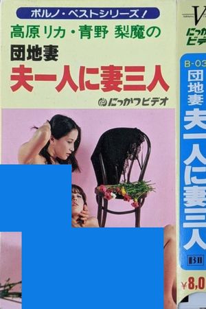 Apartment Wife: One Husband, Three Wives's poster