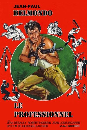 The Professional's poster